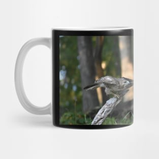 Hawk Mug